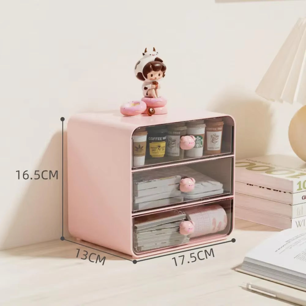 Tabletop Organizer For School Students
