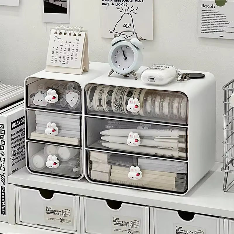 Tabletop Organizer For School Students